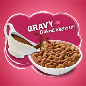 Friskies Gravy Swirlers Chicken & Salmon Dry Cat Food