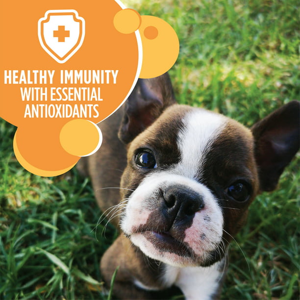 642071f7-1a8c-4c6b-ad01-ebd03be38e07.a94e1aa98517bc60475be4a6a356c764.jpeg 642071f7-1a8c-4c6b-ad01-ebd03be38e07.a94e1aa98517bc60475be4a6a356c764.jpeg