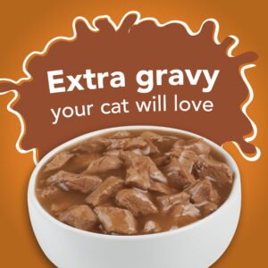 Purina Friskies Extra Gravy Chunky Wet Cat Food Variety Pack