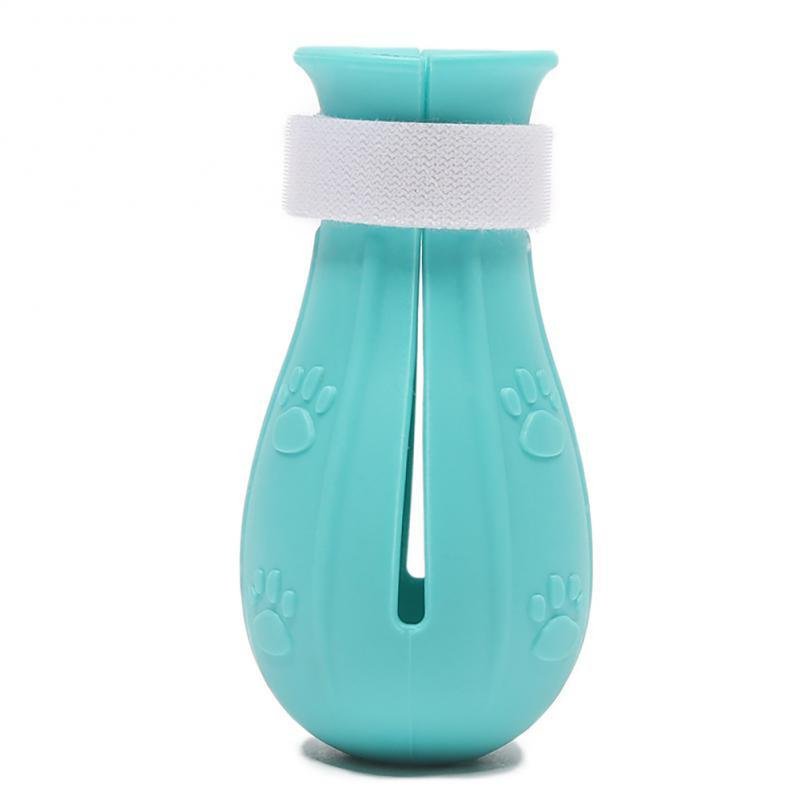 b12adece-4053-4c09-ba87-0947f8cdeb7c.jpg b12adece-4053-4c09-ba87-0947f8cdeb7c.jpg